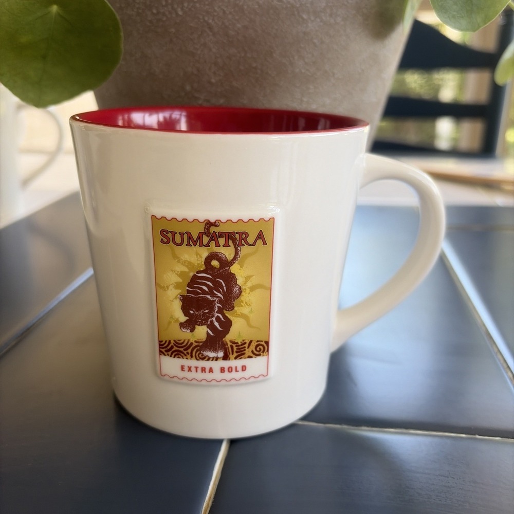 2006 Starbucks Asia/Pacific Sumatra 16 oz. Mug (E3)